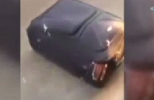 Bavuldan sesler gelince içinden çıkan şoke etti