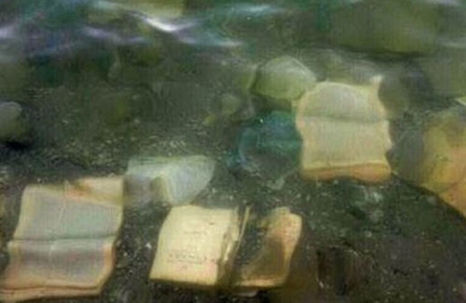 Fethullah Gülen'in kitaplarını baraja attılar