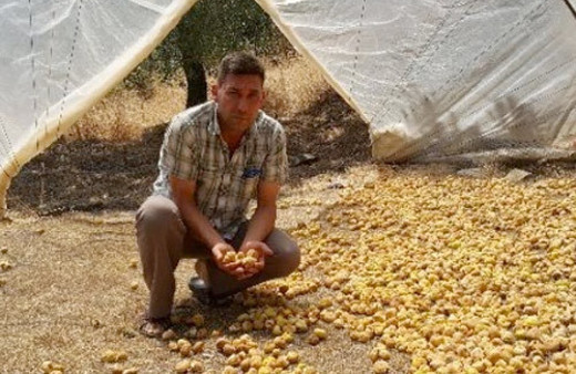 Aylık 5 bin TL maaşla işçi bulamıyorlar