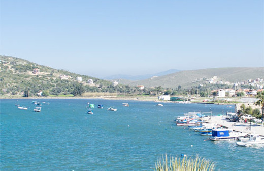 Dalgıçlar askeri kamp yakınlarında balık avlerken buldu