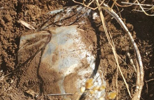 Jandarma büyük faciayı son anda önledi!