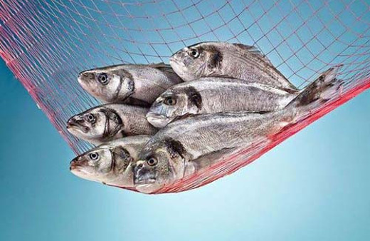 Balık nasıl yapılır en lezzetli ve iyi nasıl pişer?