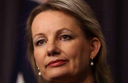 Özel giderlerini devlete ödeten bakan istifa etti