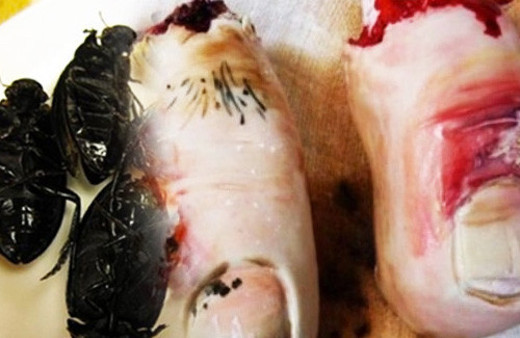 Bunların hepsini yiyebilirsiniz bakın nasıl