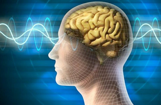 Beynin şekli kişilik farklarını belirliyor