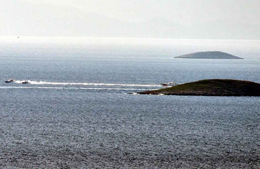 Ege Denizi'nde it dalaşı