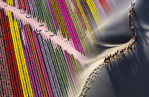 Bu fotoğraflar bakın nasıl çekildi tam 27 bin arasından...