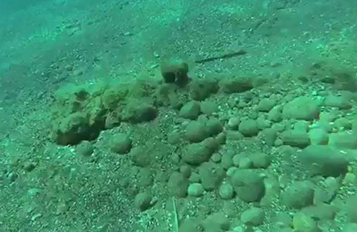 Türkiye'nin dünyaca ünlü sahilinde tam beş tane bulundu!