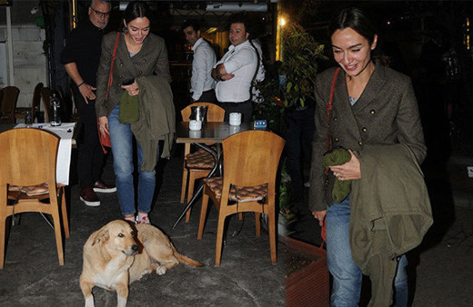  Birce Akalay'dan örnek davranış köpeği görünce...