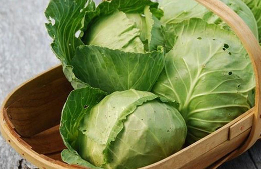 Lahana ile nasıl kilo verilir?