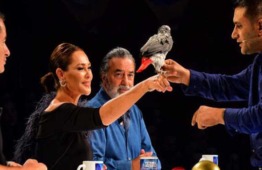 Yetenek Sizsiniz Türkiye'de Alper papağandan şaşkına çeviren gösteri