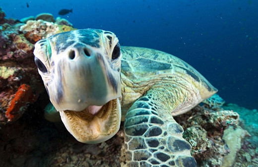 Bu fotoğraf sizleri büyüleyecek