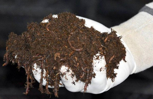 50 bin lira ile başladı şimdi paraya para demiyor!