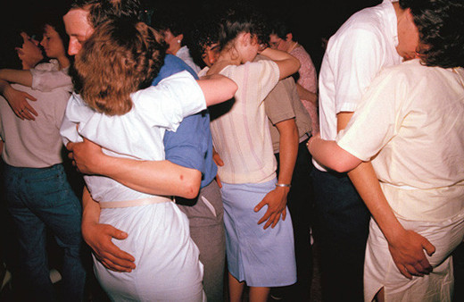 Aralarına girip fotoğraflarını çekti kimse umursamadı!