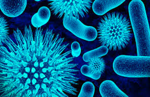 Hepatit A'dan korunmanın yöntemi aşı ve temizlik