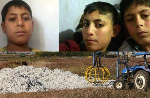 Pamuk yığınında ölen 3 çocuğun ölüm nedeni belli oldu!