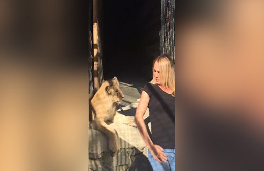 Nagihan Karadere'nin panik anları