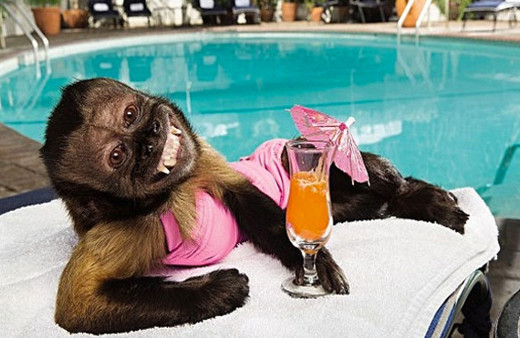 Dünya'nın en zengin 10 hayvanı! 