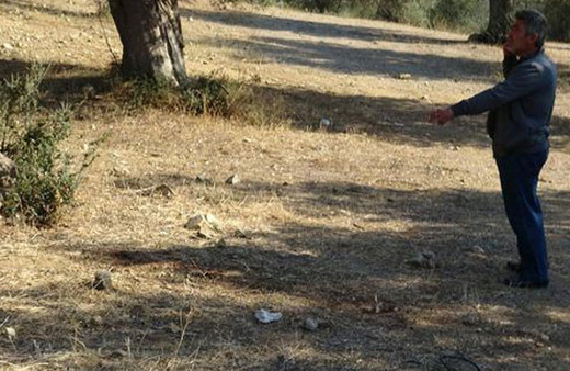 Balıkesir'de dehşet, Zeytinlikte kafasını kesmişler