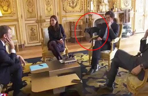 Macron'un köpeği kameralar karşısında şömineye çişini yaptı