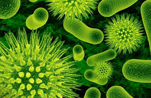 Tifo hastalığında çağ atlatacak gelişme