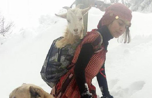 Hamdu Sena, Erdoğan'a eli boş gitmeyecek!