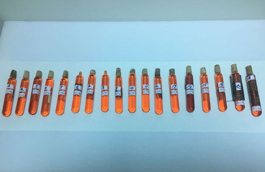 Ankara'da yakalandı! 8 saniyede bir fili öldürüyor!