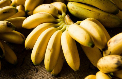 Karatay muz ithalini  eleştirdi