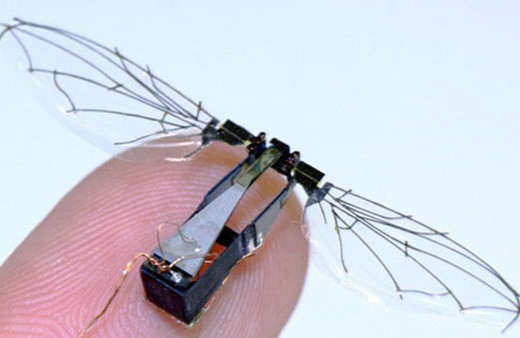 Suya dalıp çıkabilen robot arı geliştirildi!