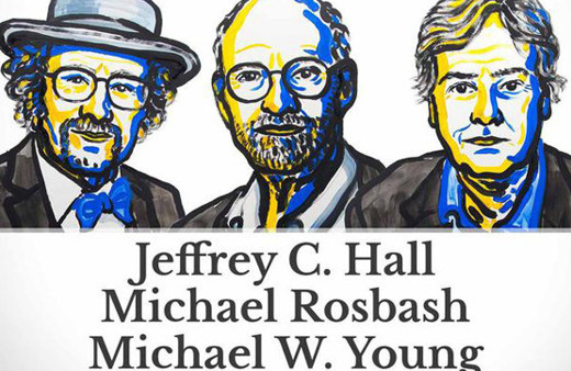 Nobel Tıp Ödülü sahiplerini buldu