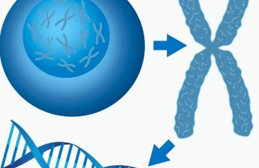 Telomer tedavisi nedir ölümsüzlük iksiri Sertab Erener de bunu yapıyor