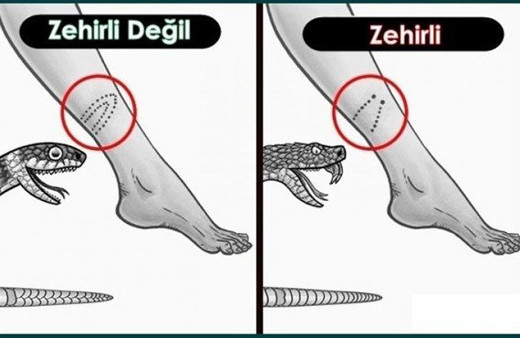 Bu pratik bilgiler hayat kurtarır