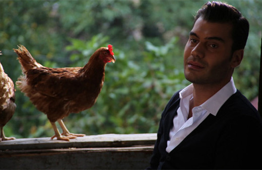 Şevkat Yerimdar 24. bölüm 2. fragmanı