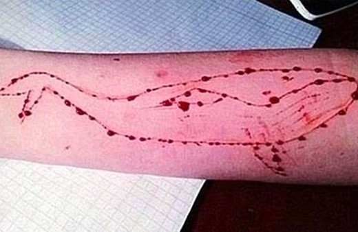 Mavi balina oyunu nedir nasıl oynanır gençleri öldürüyor