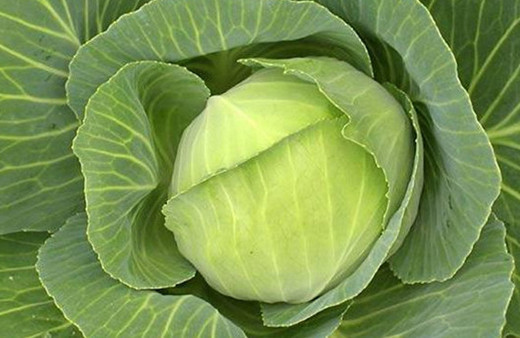 Eklem ağrısına en  doğal çözüm