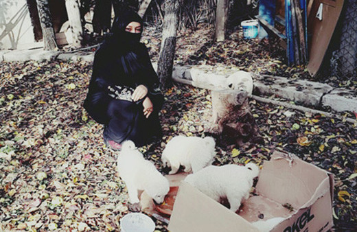 Kuran kurs öğreticisi, sokakta bulduğu yavru köpeklere sahip çıktı