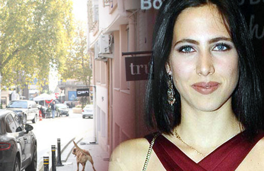 Geçen hafta kaza yapan Zehra Çilingiroğlu bu seferde trafikte köpeği...