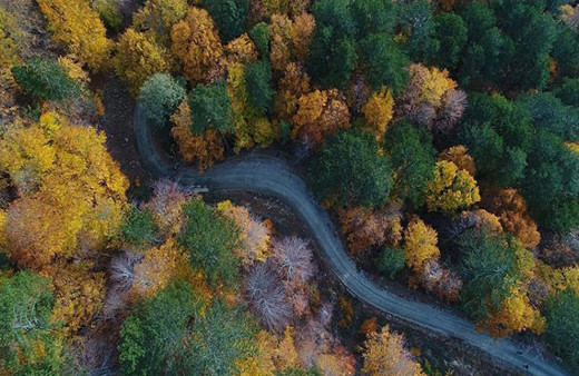 Kazdağları'nda muhteşem sonbahar