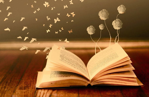 2017 yılında en çok hangi kitaplar okundu?