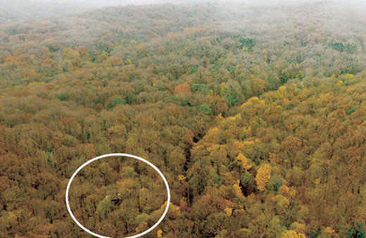 Belgrad Ormanı'nda bir ilk yaşandı! Tam 25 kişiydiler