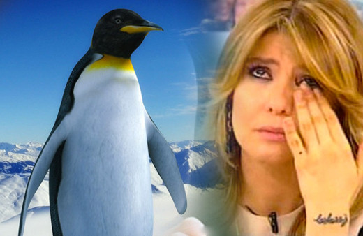 Gülben Ergen'e darbe üzerine darbe bu kez de penguen şoku!