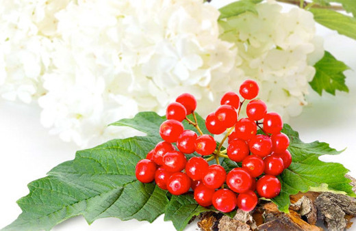 Gilaburu neyin nesi! Erkek ve kadınların mahrem derdine çare