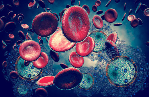 Dünyanın korktuğu hastalık