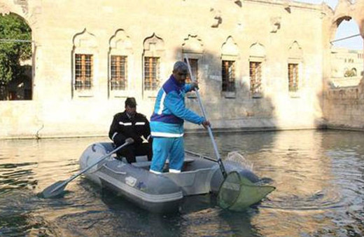 Balıklıgöl'de nişan yüzüğü operasyonu