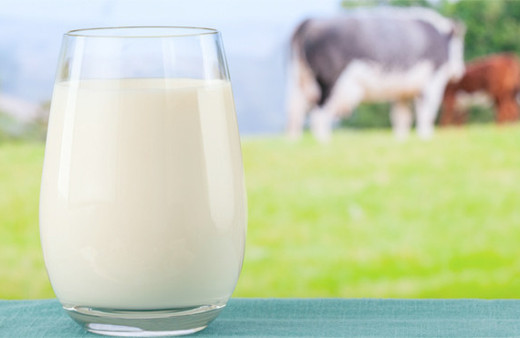 Ucuz süt için Ege bölgesi üreticilerinden öneri