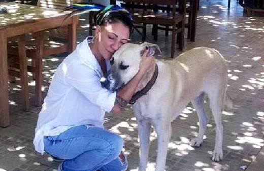 Özlem Tekin sokak hayvanları için harekete geçti