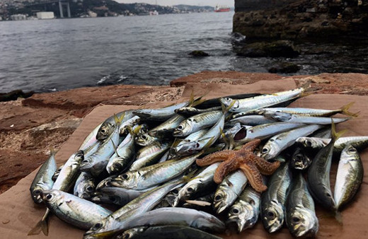 O balığı kılçığı ile beraber yiyin