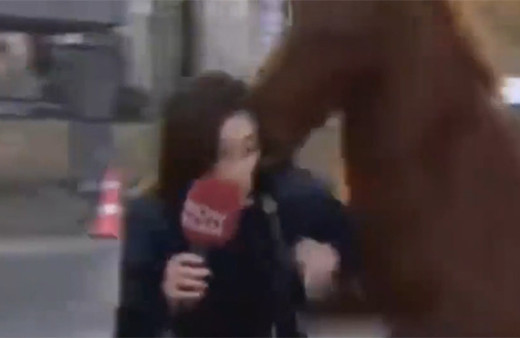 Başıboş at, Show Haber muhabirine saldırdı!