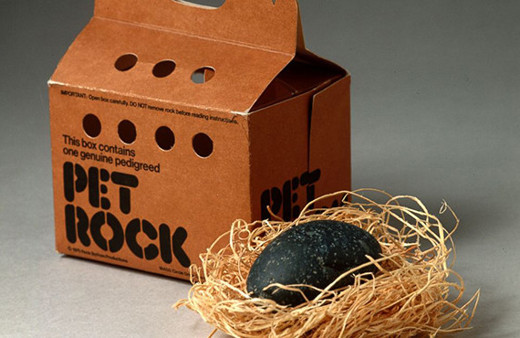 'Evcil kaya' sattı milyonlar kazandı!