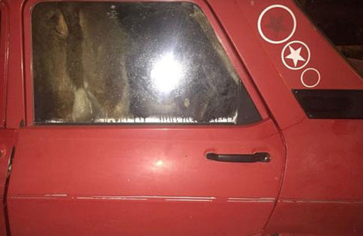 Ankara'da jandarmayı bile şaşırtan hırsızlık